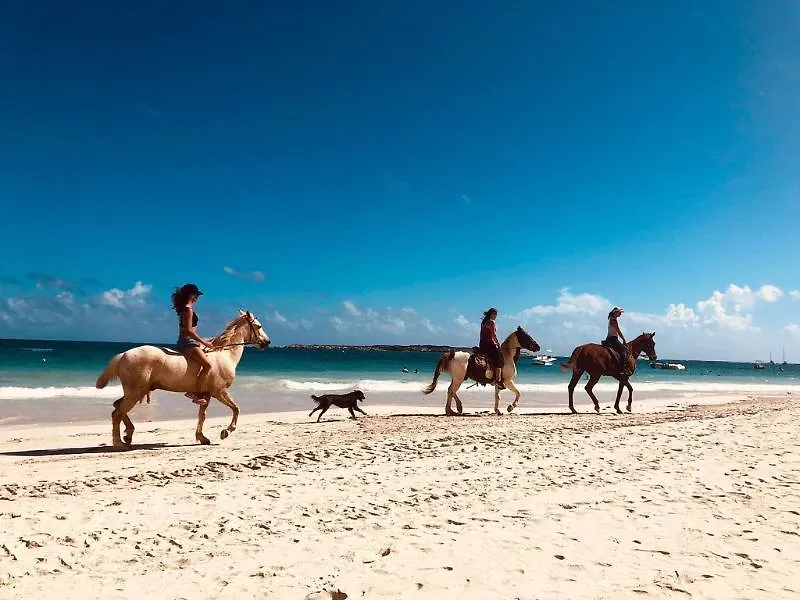 ****  La Playa Orient Bay Hotel Sint Maarten